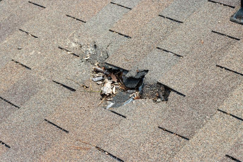 Damaged Roof Replacement in Dekalb County, GA
