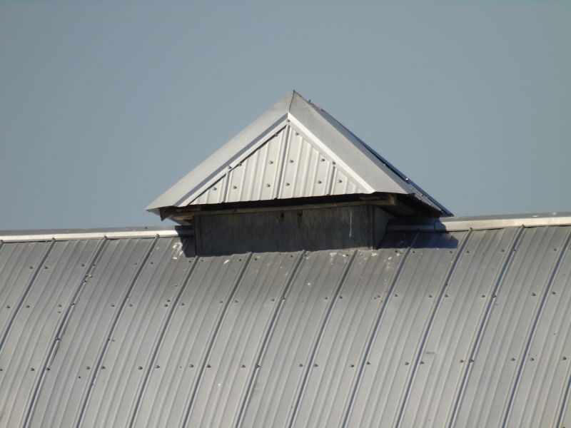 Tin Roof Installation in Barrow County, GA