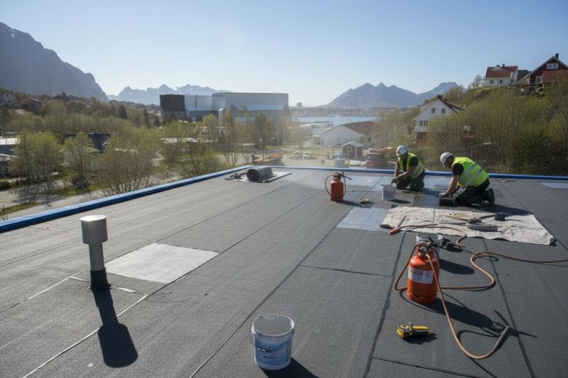 Tpo Roof Replacement in Rockdale County, GA